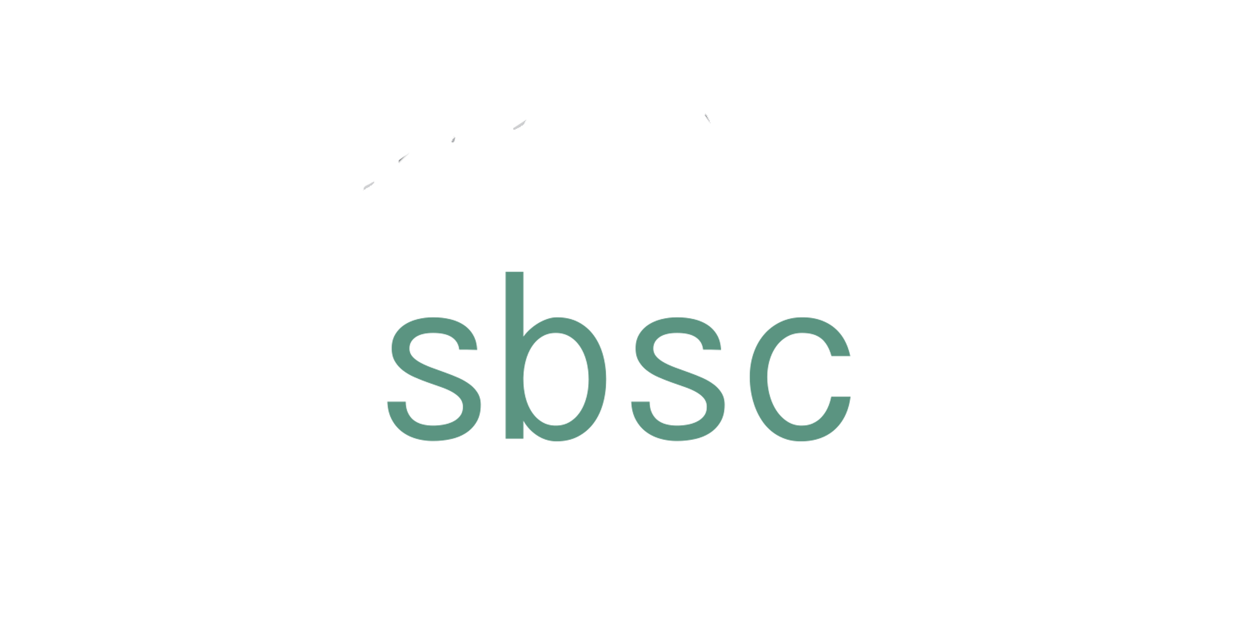 SBSC Bookkeeping and Business Growth